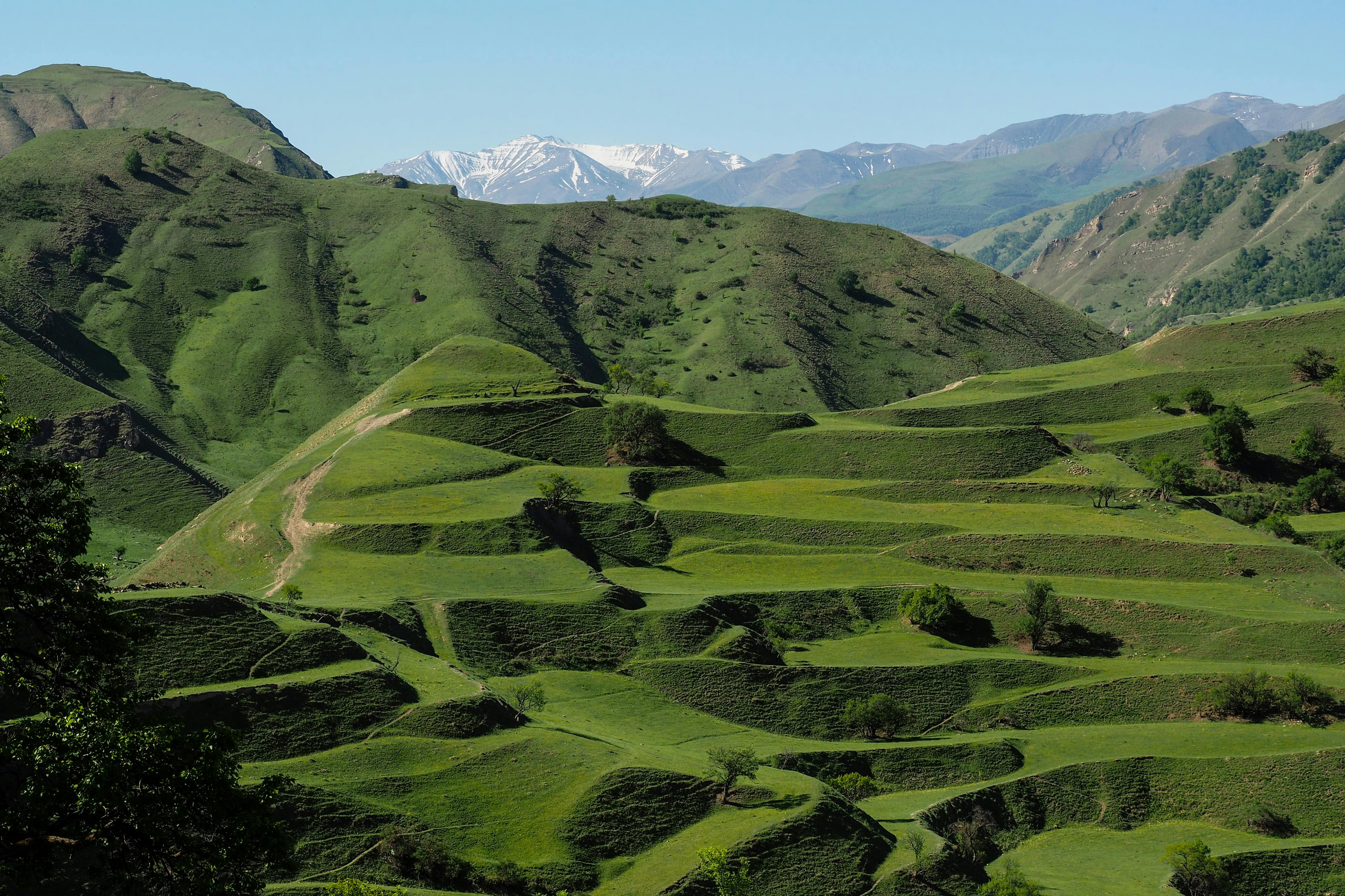 Зелёные горы Кавказа